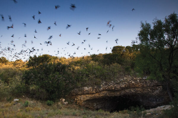 eckert james river bat cave