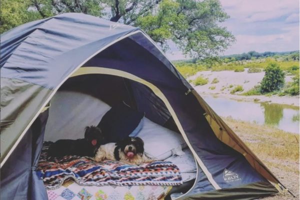 lugares para acampar en texas